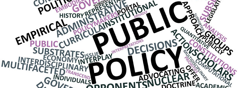 public policy research ideas